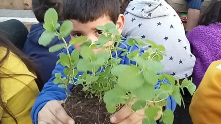 Escuela La Casona de La Granja Contribuye a Fortalecer Participación Comunitaria en Población San Gregorio