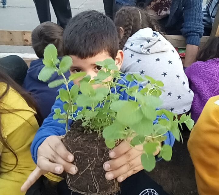 Escuela La Casona de La Granja Contribuye a Fortalecer Participación Comunitaria en Población San Gregorio