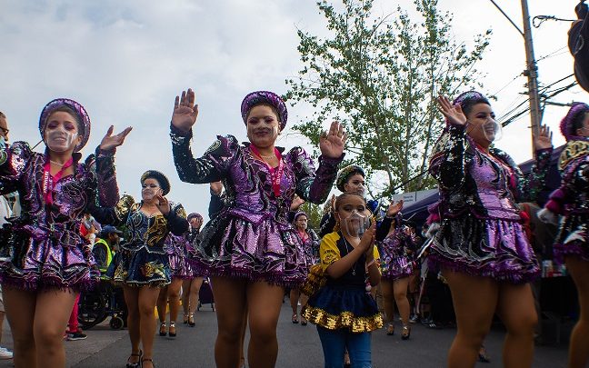 Daniel Muñoz, Juanito Ayala, Los Peores de Chile y Santo Barrio encabezarán el XIX Carnaval Cultural de Villa O’Higgins en La Florida